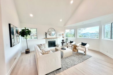 Living room - contemporary living room idea in Los Angeles