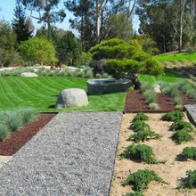 Landscape Ideas