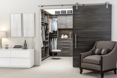 Inspiration for a large contemporary gender-neutral walk-in wardrobe in Chicago with flat-panel cabinets, grey cabinets, carpet and grey floor.