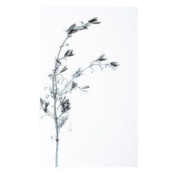 Wintersleep - Prints And Posters