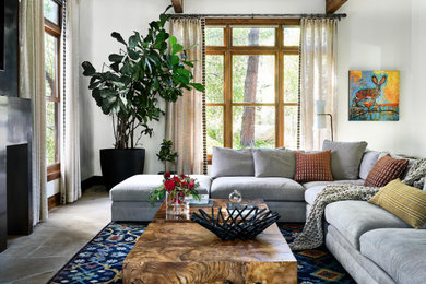 Design ideas for a contemporary living room in Denver.