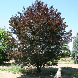 Farms - Gardening And Lawn Care