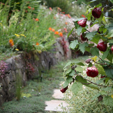 Western Garden