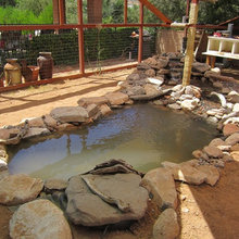 Catio
