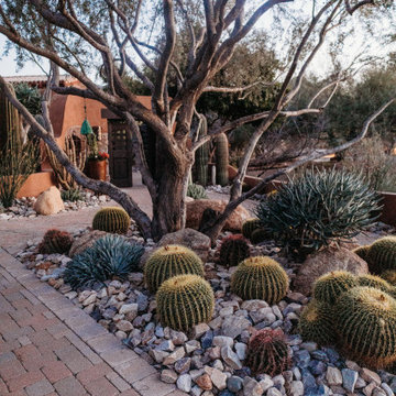 Cactus Loop - Front Yard, Foyer and Landscaping