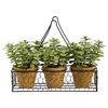 7" Mini Jade Garden Artificial Plant, Hanging Planter