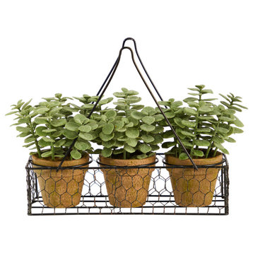 7" Mini Jade Garden Artificial Plant, Hanging Planter