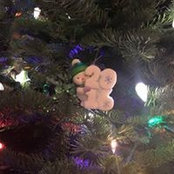 Deborah Rhine's photo