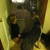 Chris Tolly's photo