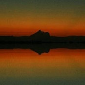 Foto von Sharolyn Wise