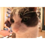 Thomas Borkowski's photo