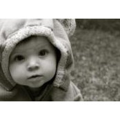 Debbie Kalember's photo