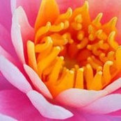 Shelley Ries's photo