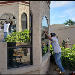 Vinyl Picture or Fixed Window - Windows