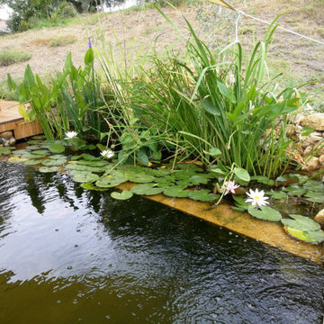 Biolago - progettazione e realizzazione Capena - Roma