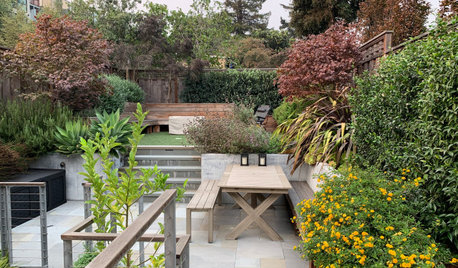 How to Make the Most of a Small Yard