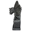 Veruah, the  Birdfeeder Gargoyle Sculpture Statue