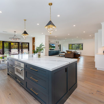 Encino Remodeling