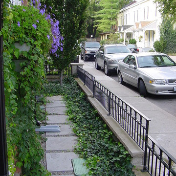 Summerhill Iron Fence Front Yard