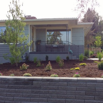 Mid Century Modern Custom Landscape Design
