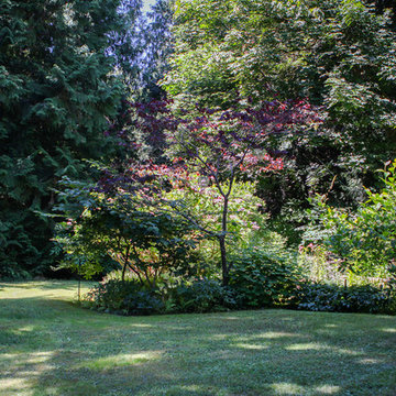 A Forest Oasis on Whidbey Island
