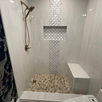 Danville Guest Bathroom remodel