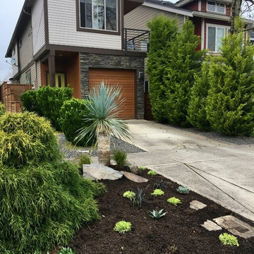 Urban Garden with Style