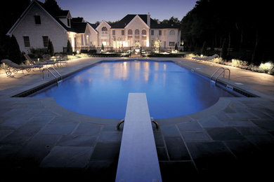 Photo of a transitional pool in Other.