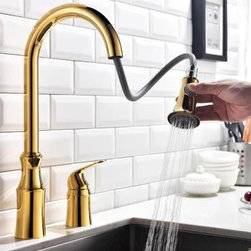 Antique Brass Golden Kitchen Pull Out Mixer Sink Faucet TP235G - Kitchen Faucets