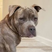 Alicia Arentz's photo