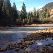 Tammy Everett's photo