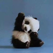 Jun Liu's photo