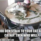 Krista Swackhammer's photo