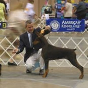 David Trahan's photo