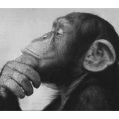 Dan Kenney's photo