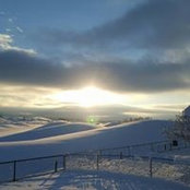 Brad Cushing's photo