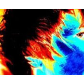 Tracey Haggett-Sloans foto