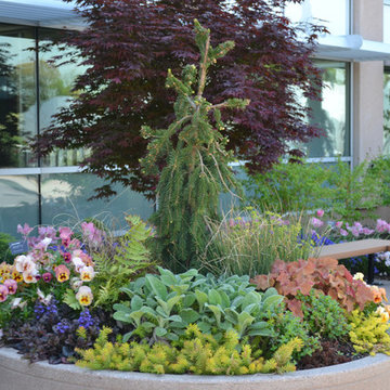 Statuary and Containers