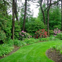 Mixed Shrub Boarder