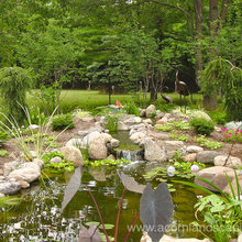 Pond