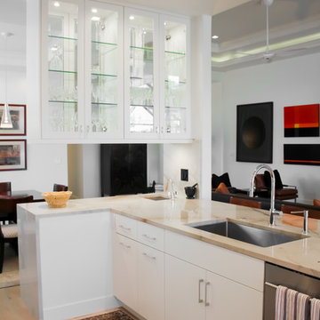 Modern Upscale Gourmet Chef's Kitchen Remodel in Naples (2019)