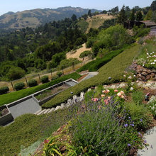 Outdoor ideas