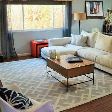 Living Room with Organic Flair