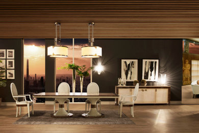 Large contemporary dining room in Other with feature lighting.