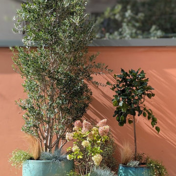 Une belle ambiance dès la plantation