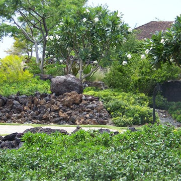 Hawaii Island Landscaping