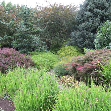Random gardens
