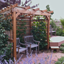 Grape arbor