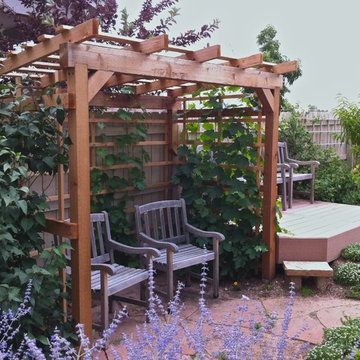 Grape arbor