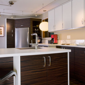 Contempory Kitchen/Mid-Century Home